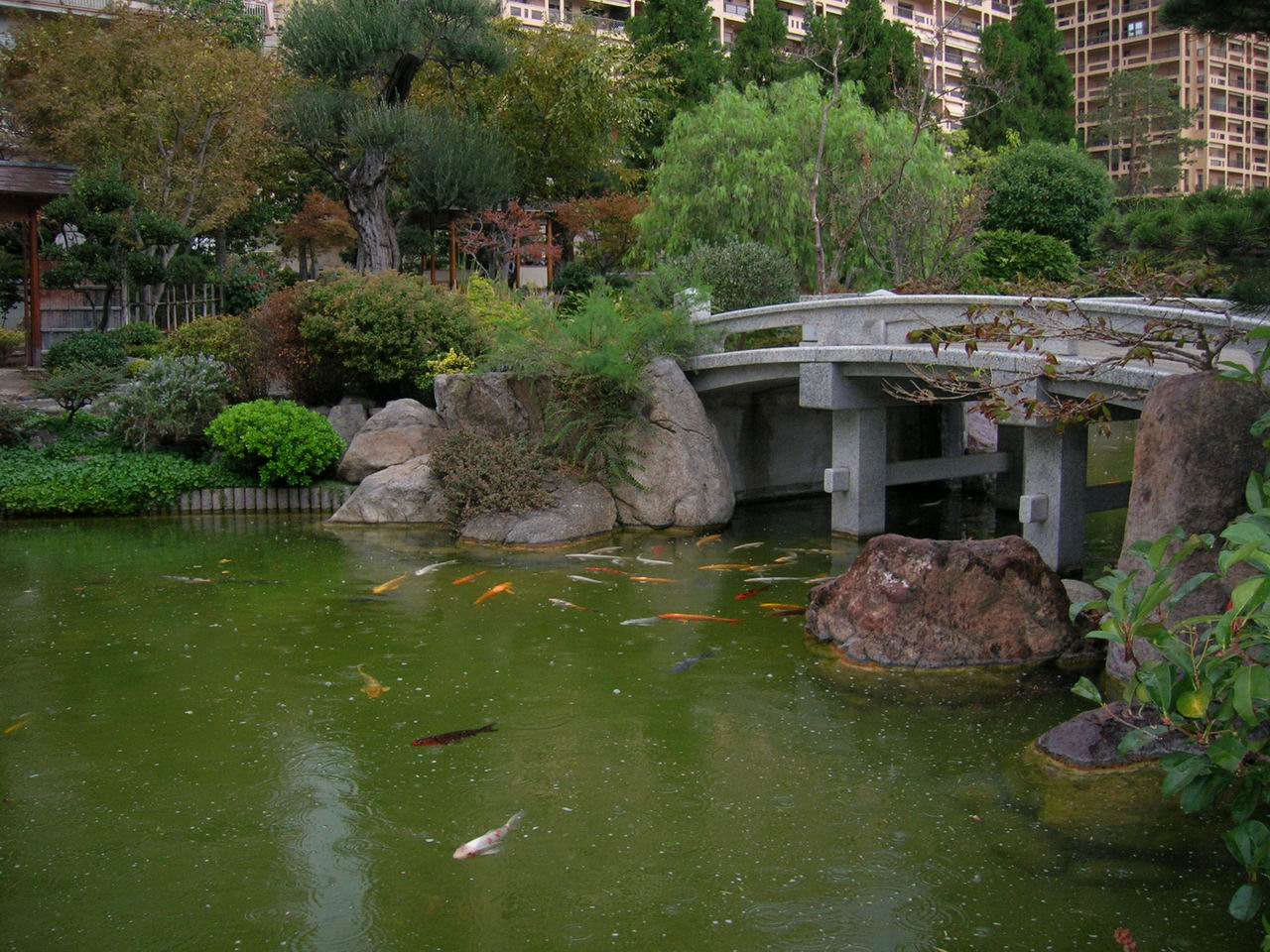 The Japanese Garden